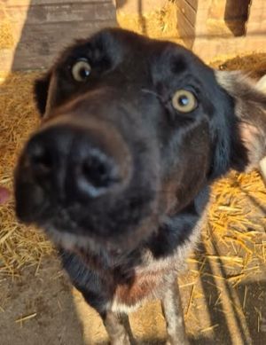 617822870 25759740280333222 318867735649016286 n