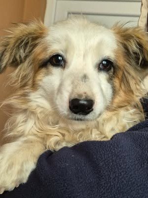 618157076 25759234577050459 6140293527494127990 n