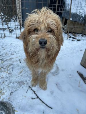 618272251 25797252169915366 8156575342985758279 n