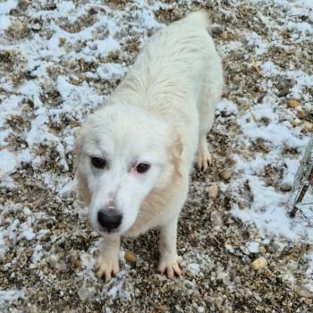 618727560 914046561023302 5565342448102641435 n