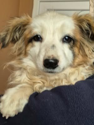 618774414 25759234233717160 9062422348358897657 n