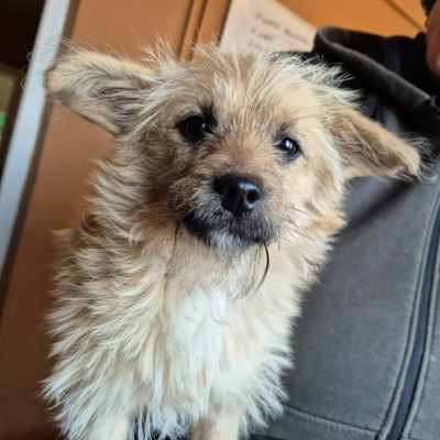 619119042 772773128602300 2360105173068874515 n