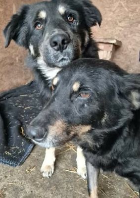 619203294 25806175889022994 6269420895437584420 n