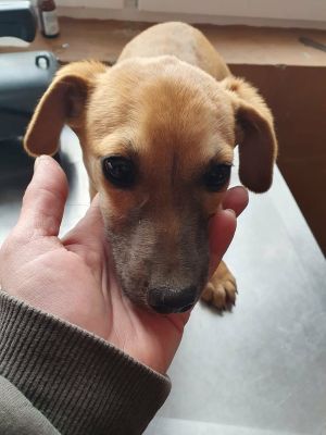 619253056 1472369334624800 2423729682319785062 n