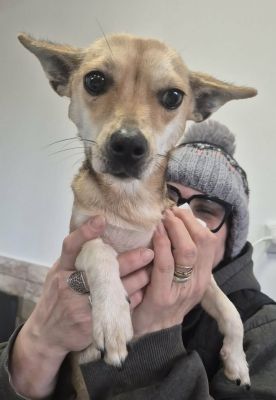 619256109 1472415947953472 1886941397743879287 n