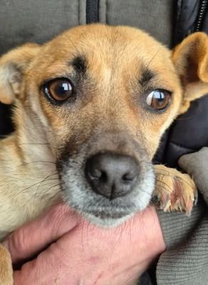 619271650 25758270137146903 1040450670379718751 n