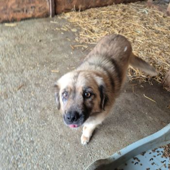 619278768 1456575142928339 8563314139133069440 n