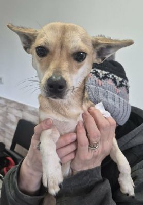 619301752 1472416061286794 6539112620834684264 n