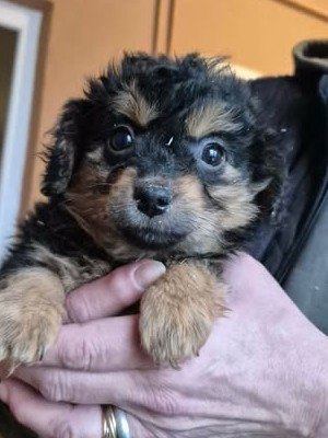 619308624 25825470147093568 2195593873742822682 n