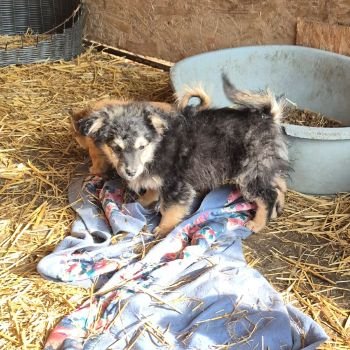 619327279 1911171776454042 8377225459434282512 n