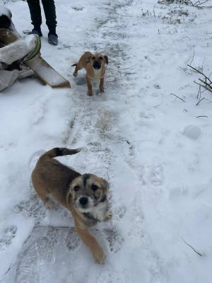 619331464 1472389184622815 3881560757977488537 n