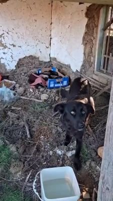 619340121 1352617616636934 6575561983300042281 n