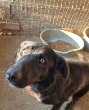 619458364 25759740556999861 3644756226775606180 n