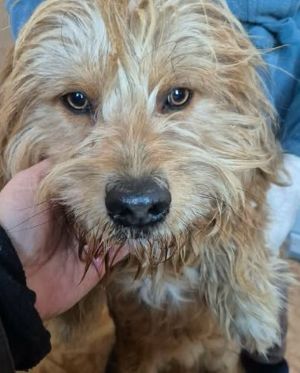 619496758 25797250883248828 3645566945961165567 n