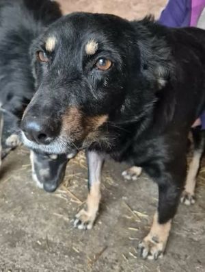 619603272 25806351099005473 6986402131216884268 n