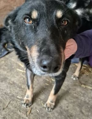 619632303 25806351499005433 5631834702612639882 n