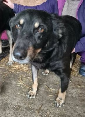 619667428 25806354845671765 1333204271688369871 n