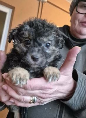 619725009 25825374643769785 2569900064127182514 n