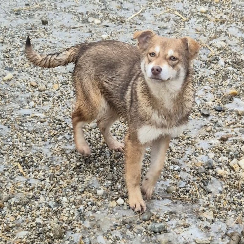 619980985 1486715373024377 7410628608405458707 n