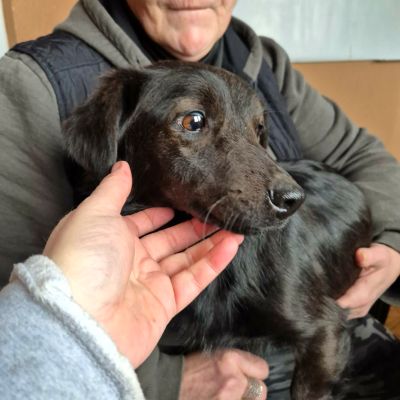 619994073 1444564533925833 6534025711134261015 n