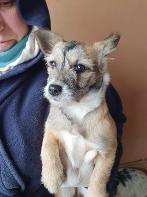 619995582 1472389264622807 8669728591316992635 n