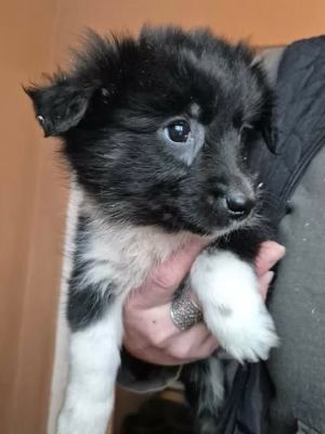 620162842 25825563190417597 7331285787246767661 n