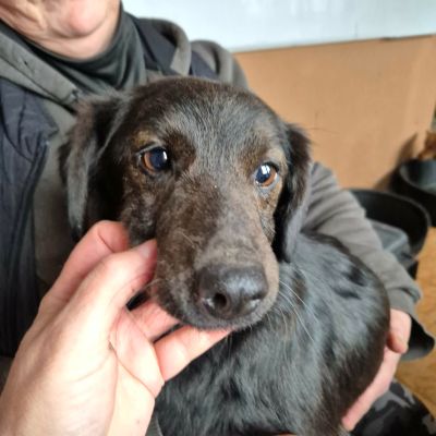 620490266 1576316283653628 6773997887169061671 n