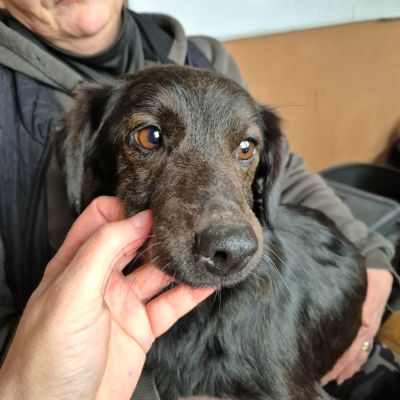 621183323 1636621021087575 8472208996246668471 n