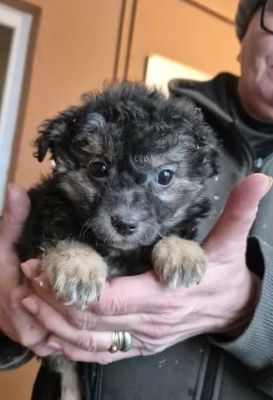 621827016 25825375440436372 1607669015294605073 n