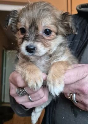 621835534 25825528127087770 6807599441557853732 n