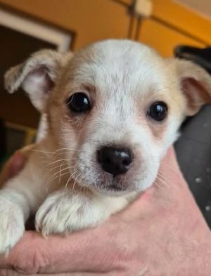 622019124 25825419813765268 8328169261634577004 n