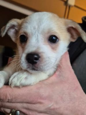 622182006 25825419823765267 7568675827601339023 n