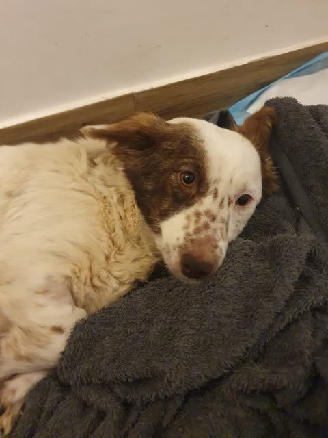 622393066 2744743269243491 4389749631559106508 n