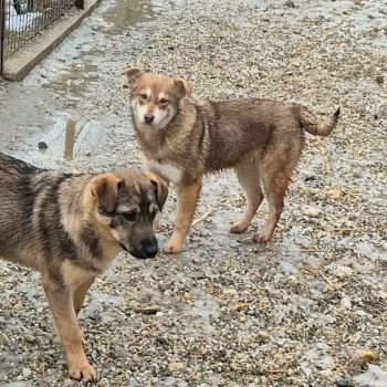 622579175 26119259447669262 6130662718665048399 n