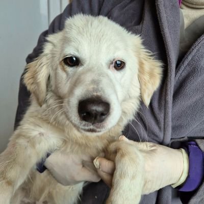 622727469 1830058497675976 6021320708603744385 n