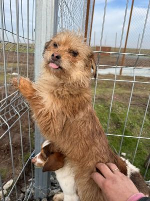 622818794 25862094083431174 2899668460836821816 n