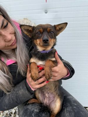 622987916 25862150296758886 522342447316291419 n