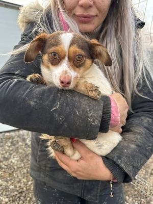 622992708 25862025346771381 8904298949394813253 n