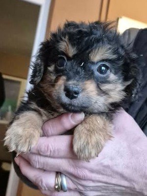 623016291 25825470143760235 5229221740038769681 n