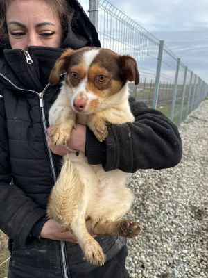 623223067 25862025386771377 7628341575079200171 n