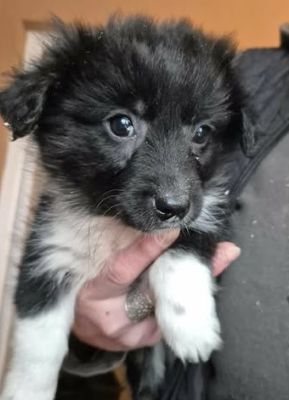 623302461 25825563203750929 8880509332544576089 n