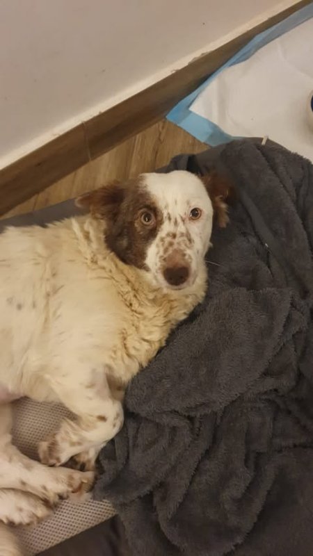 623361006 2744743219243496 8024623511771047190 n