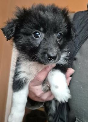 623362698 25825564110417505 3908327268660343924 n