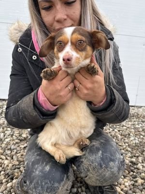 623362989 25862025393438043 8502198054346410587 n