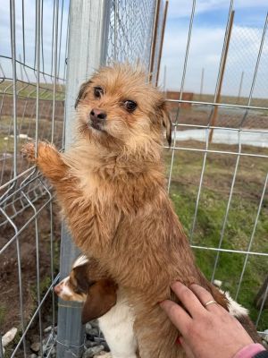 623363299 25862093850097864 8445666771243807491 n