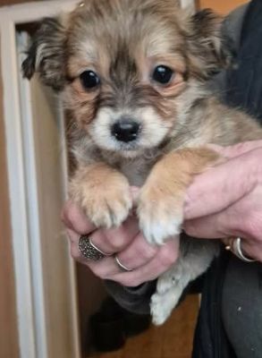 623366693 25825528113754438 876914361964796803 n