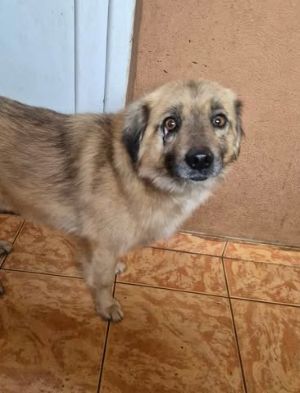 623399829 25867906922849890 4384943468716862616 n