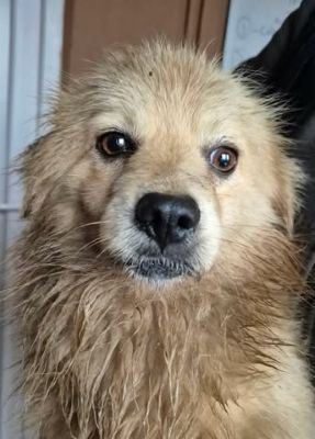 623437218 25863170876656828 7384742424599168789 n