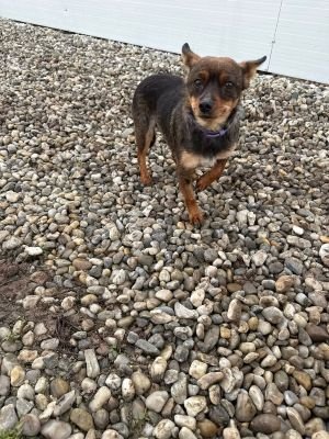 623512198 25862150650092184 3114420168735841404 n