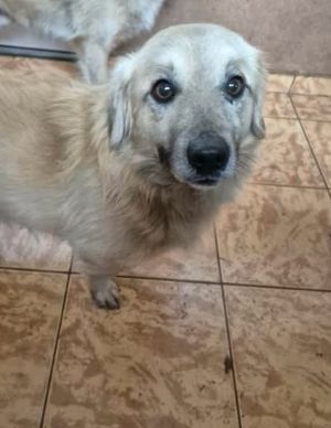 623723445 25867834819523767 3714409107569848416 n